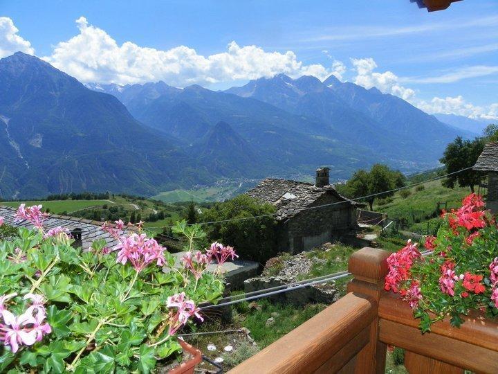 Les Lillas Verrayes Стая снимка